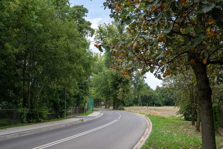 Zdjęcie przedstawia zakręt asfaltowej drogi wiejskiej, otoczonej z jednej strony gęstymi drzewami liściastymi i chodnikiem, a z drugiej strony polem po żniwach i drzewem z pomarańczowymi owocami.