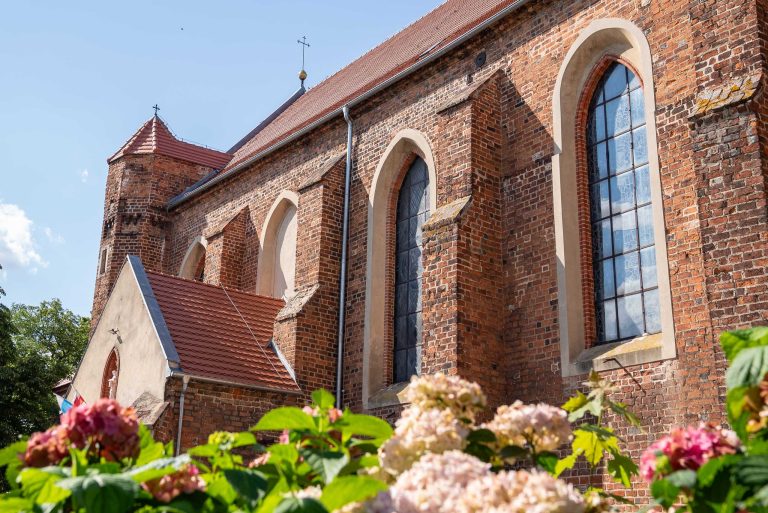 Zdjęcie przedstawia kościół pw. św. Mikołaja Biskupa w Krzywiniu. Jest zbudowany z czerwonej cegły, z charakterystyczną wieżą i czerwonym spadowym dachem. Na pierwszym planie, u dołu zdjęcia, rosną krzewy hortensji z różowymi i białymi kwiatami.