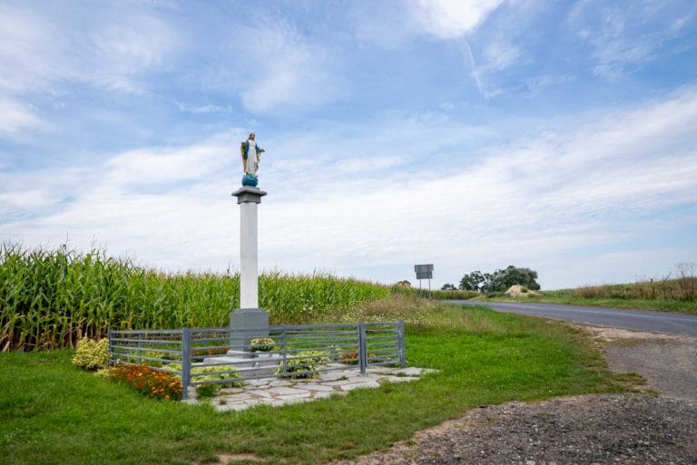 Zdjęcie przedstawia figurę Matki Boskiej w Wieszkowie stojącą na wysokim, białym postumencie, otoczoną niskim ogrodzeniem i zielenią. Figura znajduje się przy drodze.