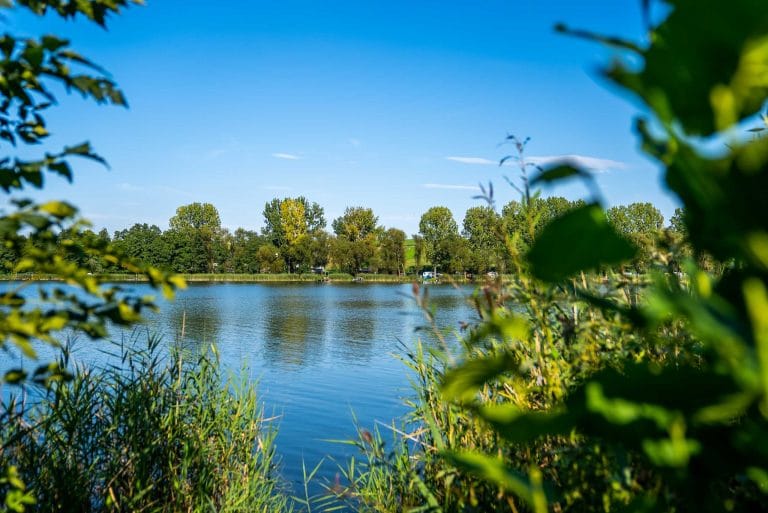 Widok na jezioro Żelazno przez krzewy. Na drugim brzegu widać liczne drzewa oraz zieleń.