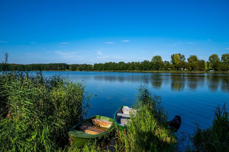 Widok na jezioro Żelazno. Na pierwszym planie widać dwie zielone łódki otoczone zielenią. Na drugim brzegu widać gęsty las.